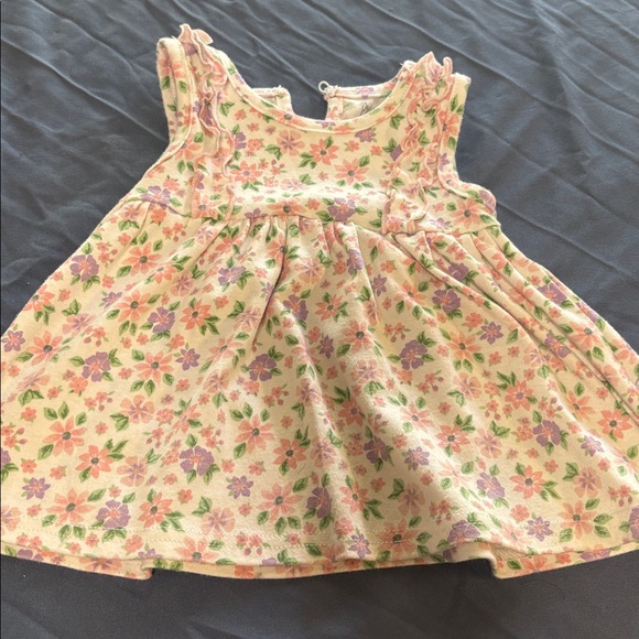 Princess Rose - Picture 1 of 1